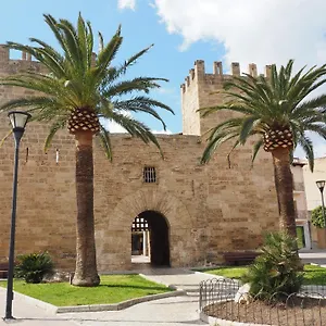 Simo 4*, Alcúdia España